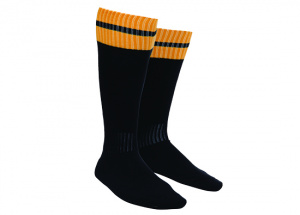 Premier Football Socks